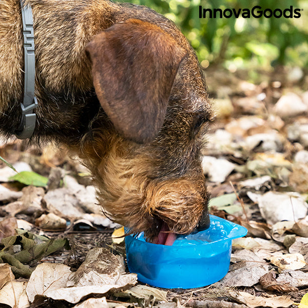 Bouteille 2 en 1 avec récipients pour eau et nourriture pour animaux Pettap