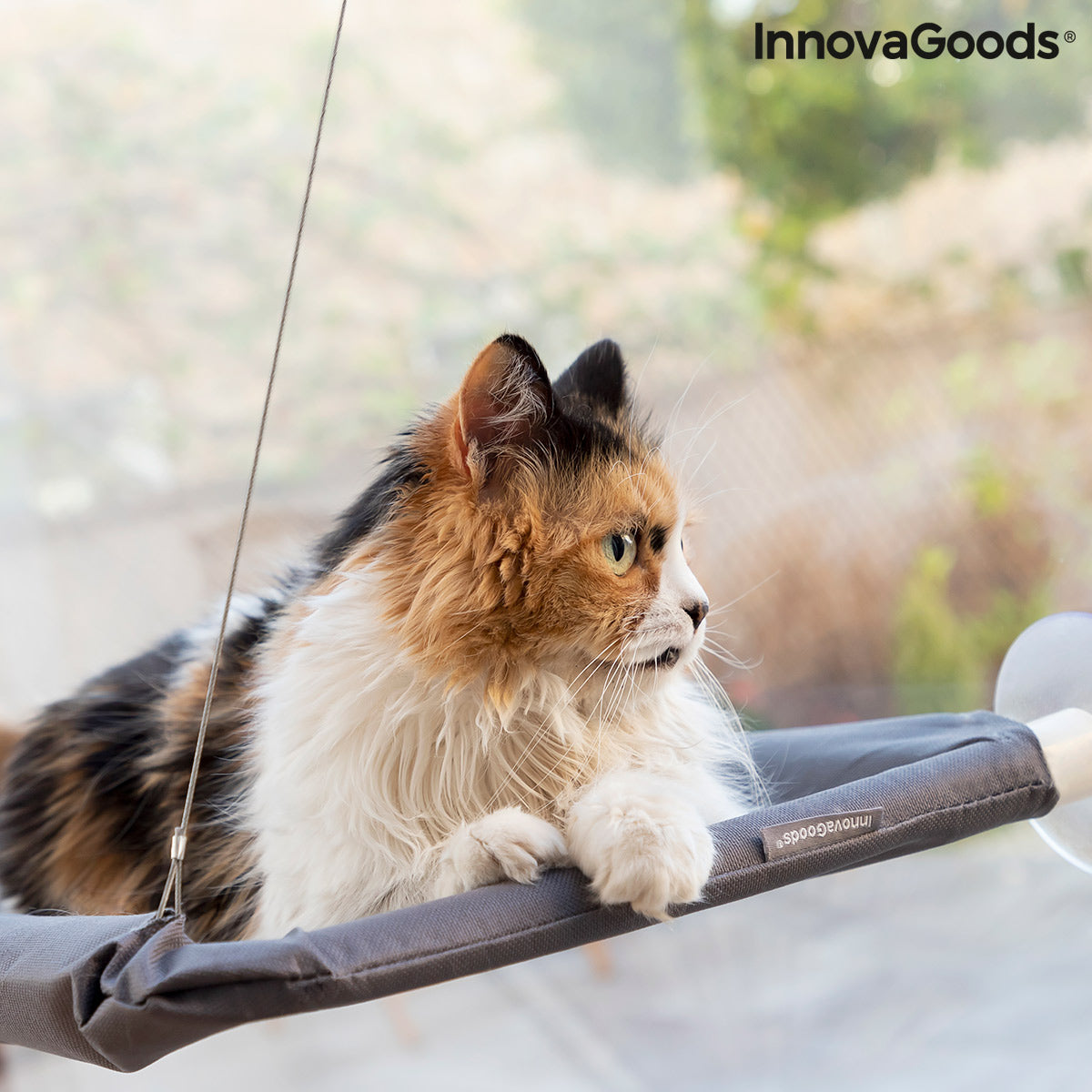 Hamaca colgante para gatos Catlax InnovaGoods