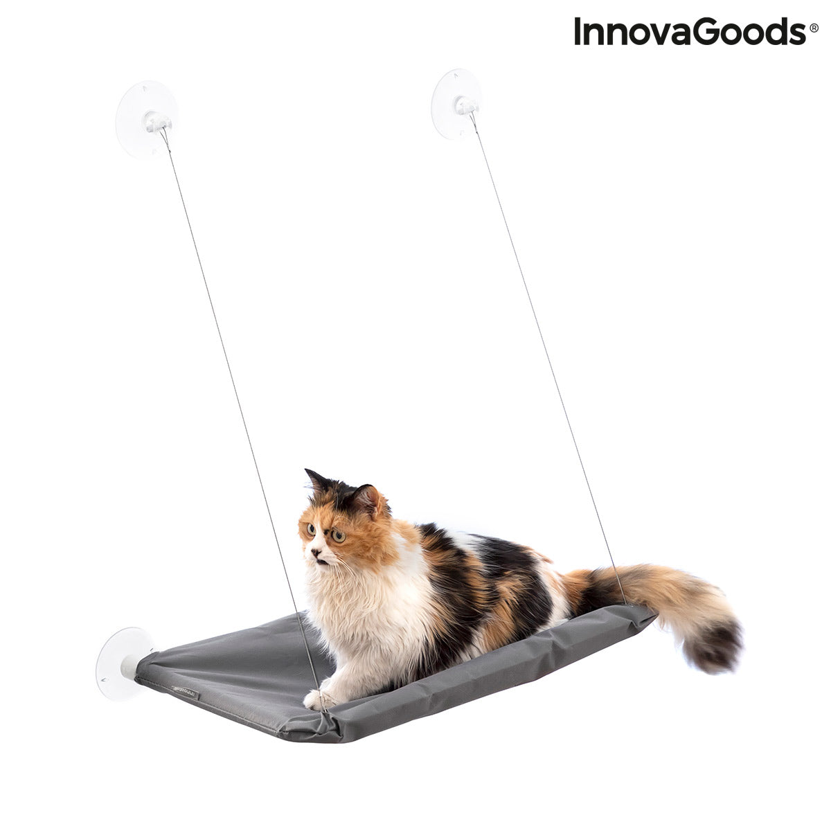 Hamaca colgante para gatos Catlax InnovaGoods