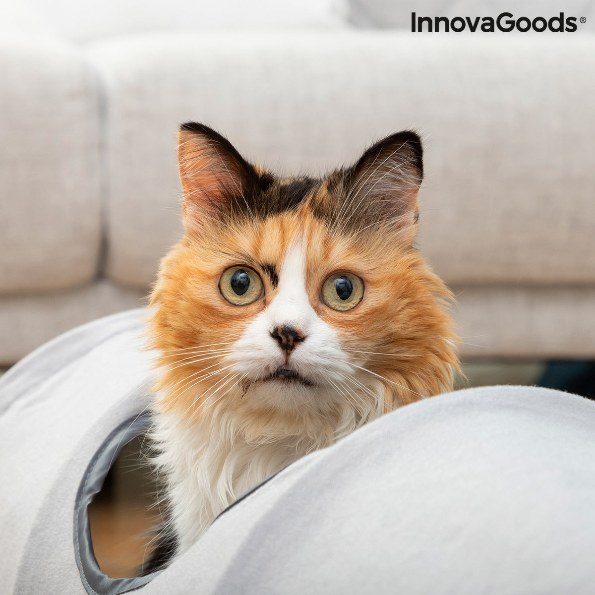 Túnel plegable para mascotas Funnyl InnovaGoods