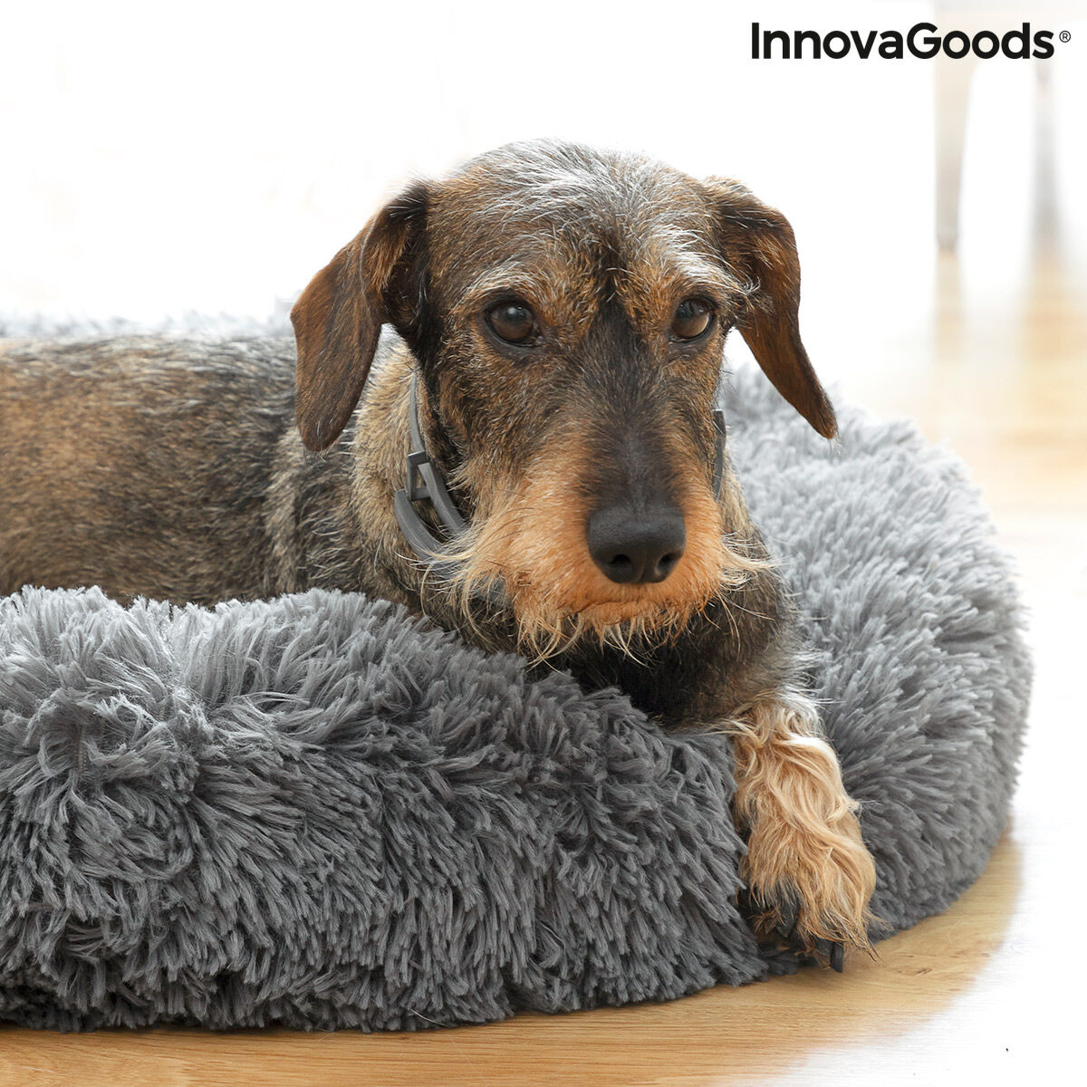 Cama antiestrés para mascotas Bepess InnovaGoods Ø 60 cm