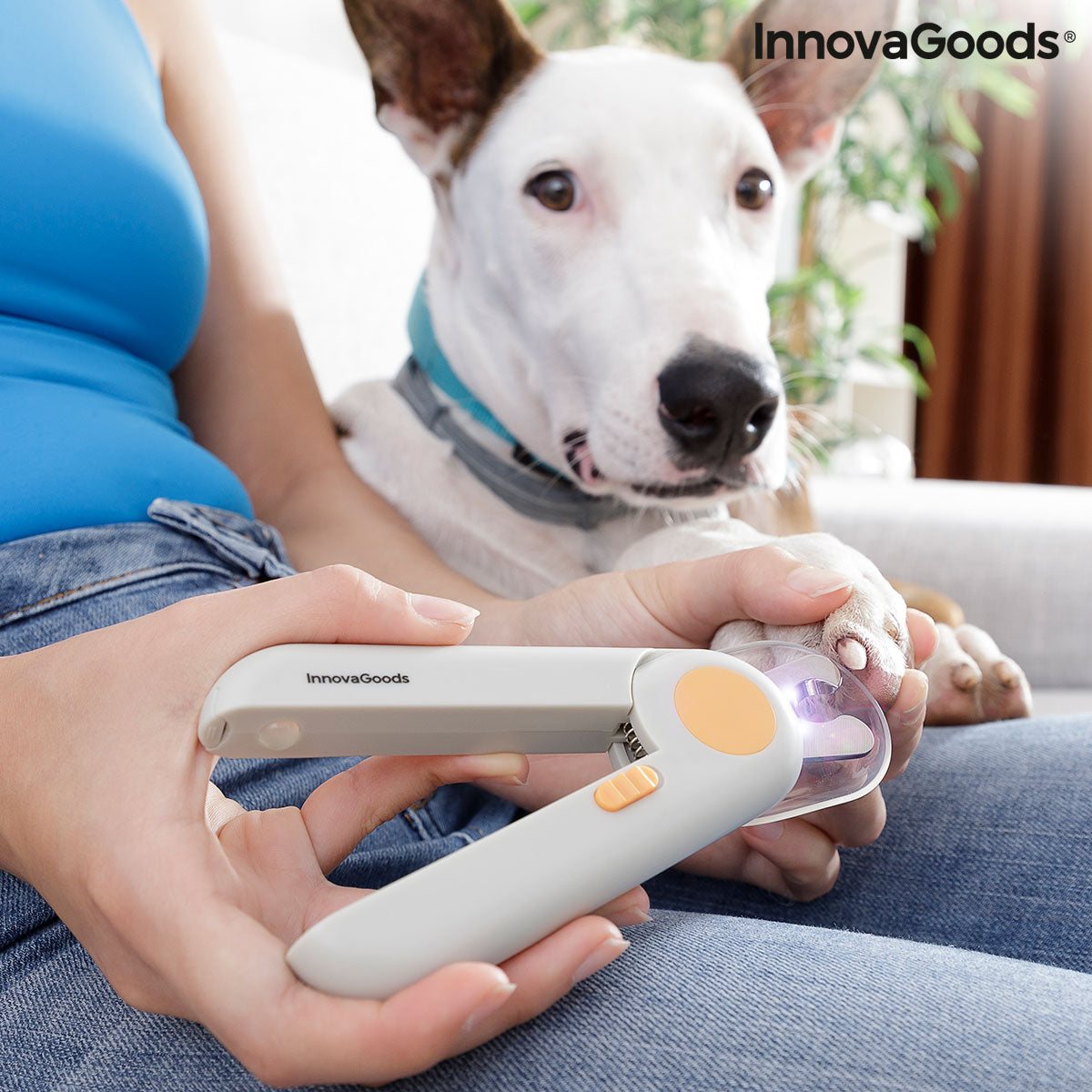 Cortaúñas para mascotas con clip LED InnovaGoods