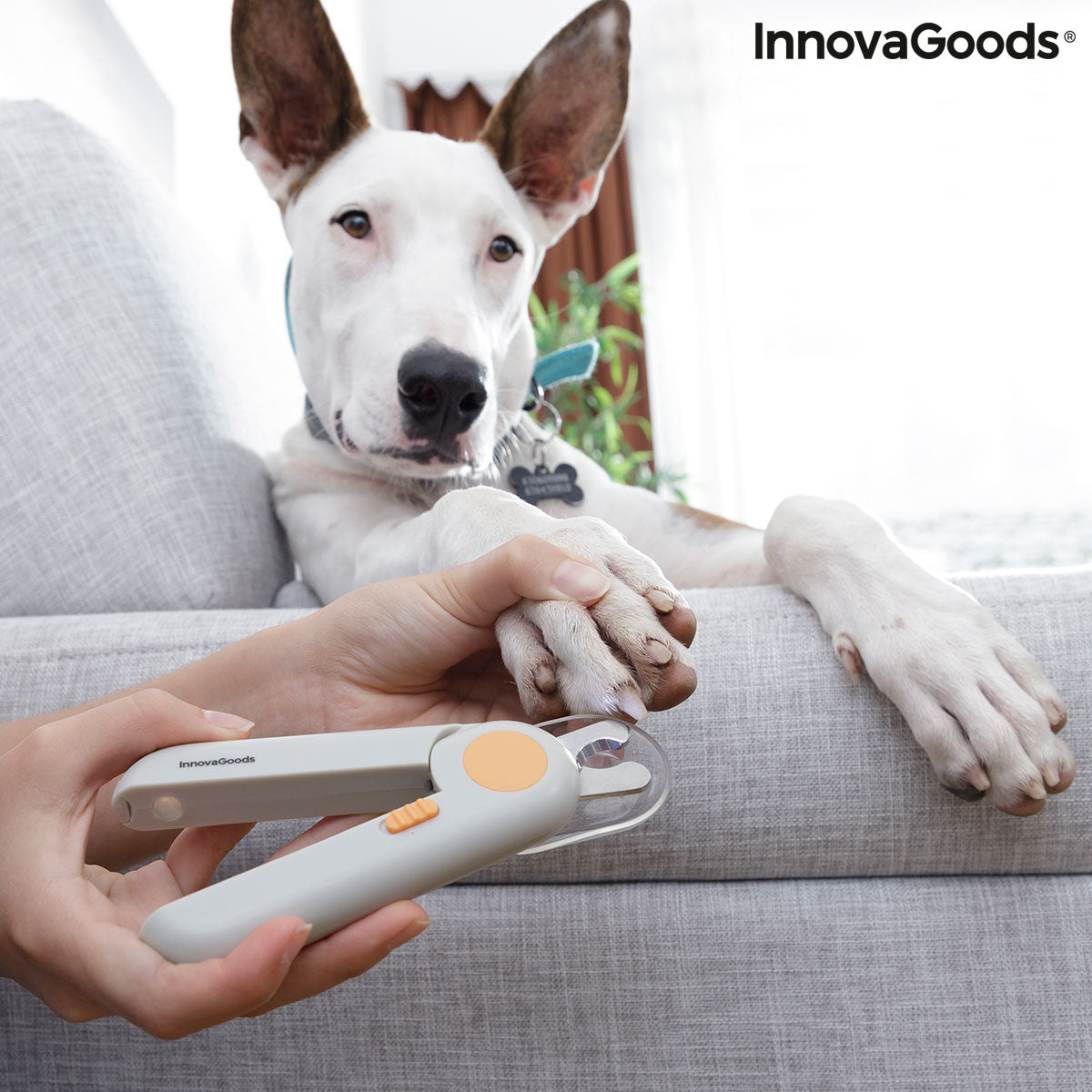 Cortaúñas para mascotas con clip LED InnovaGoods
