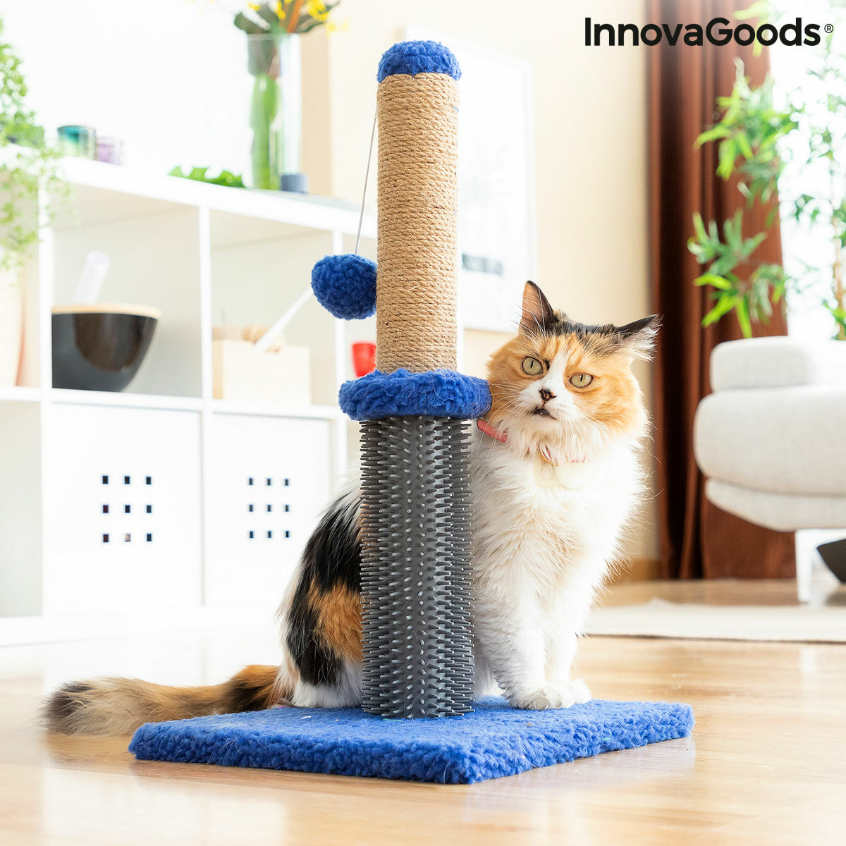 Rascador y masajeador para gatos con pelota Miausage InnovaGoods