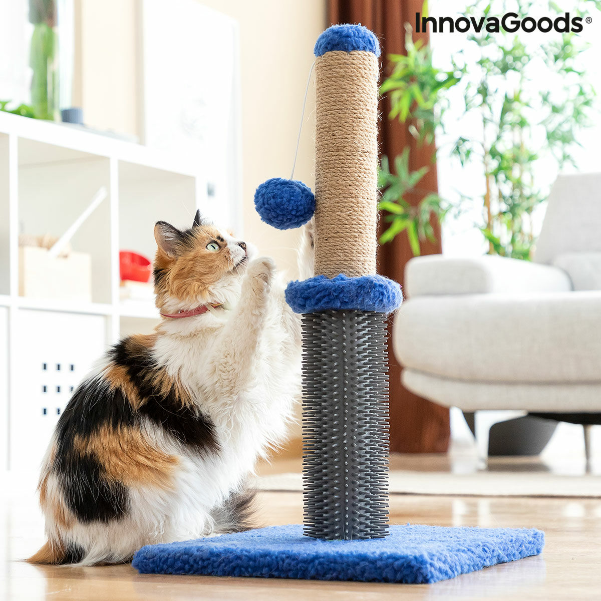 Rascador y masajeador para gatos con pelota Miausage InnovaGoods