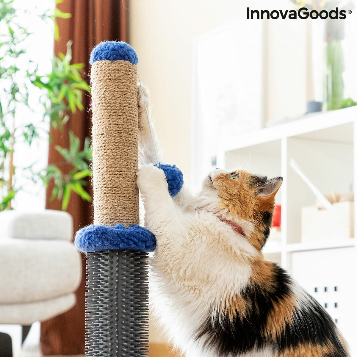 Rascador y masajeador para gatos con pelota Miausage InnovaGoods
