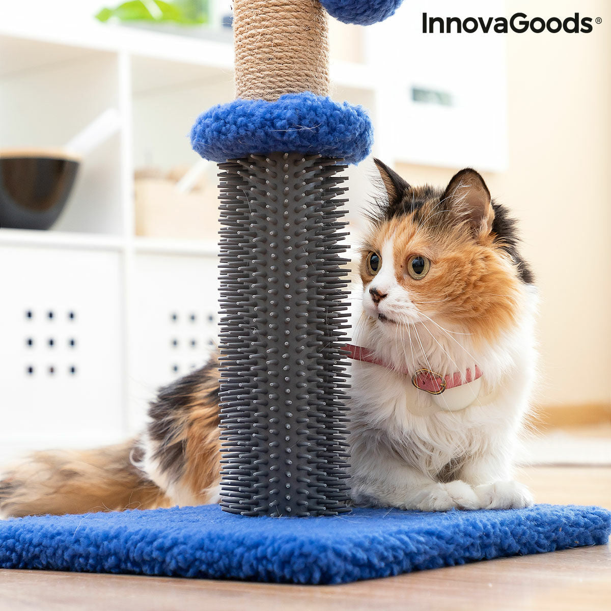 Rascador y masajeador para gatos con pelota Miausage InnovaGoods