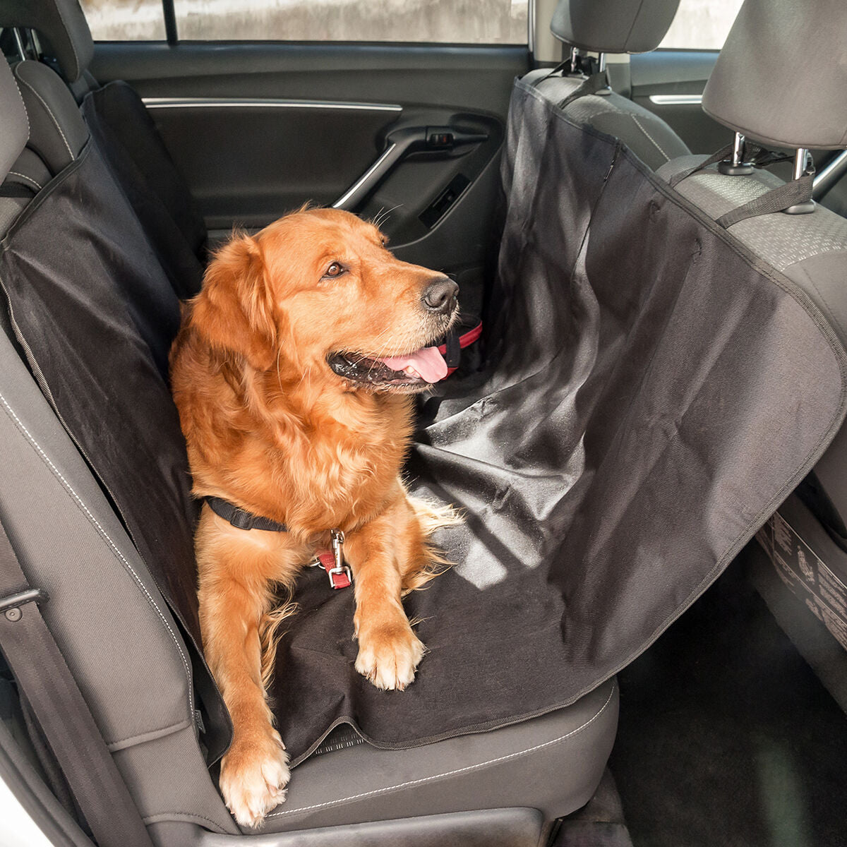 Funda protectora para coche para mascotas Petchez InnovaGoods