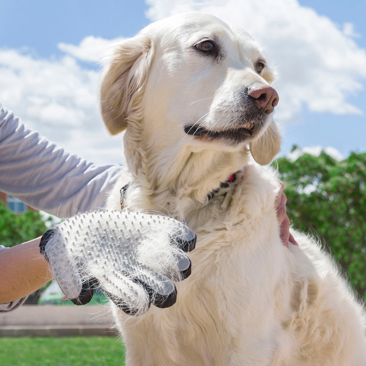 Cepillo y guante de masaje para mascotas Relpet InnovaGoods