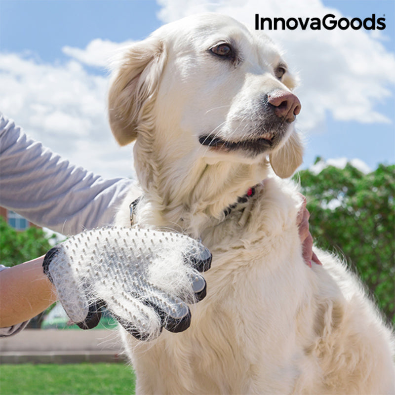 Cepillo y guante de masaje para mascotas Relpet InnovaGoods