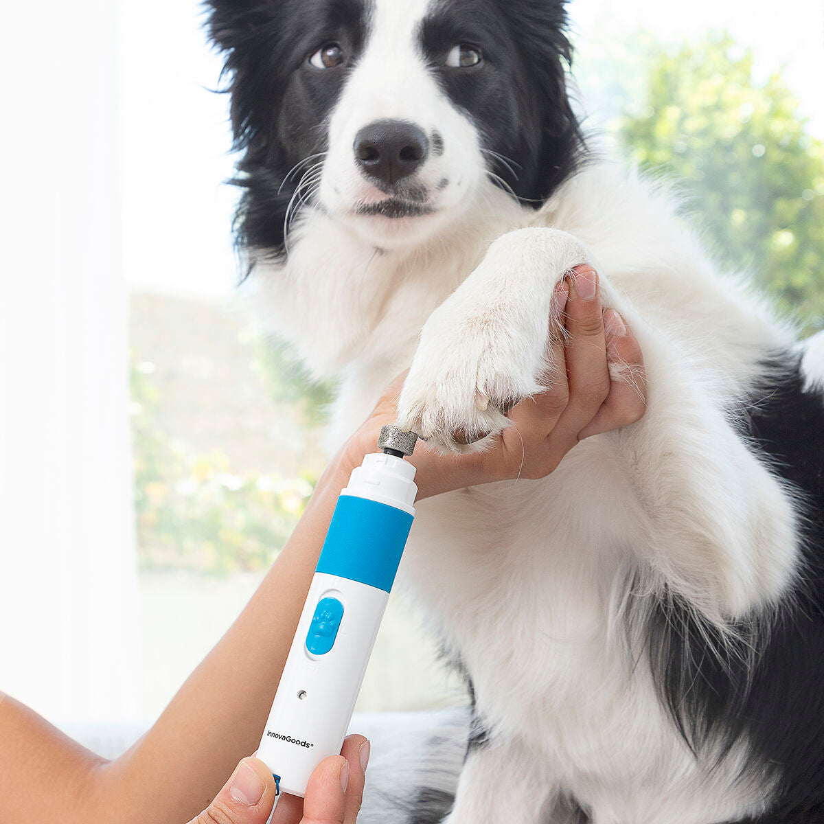 Lima de uñas recargable para mascotas Pawy InnovaGoods