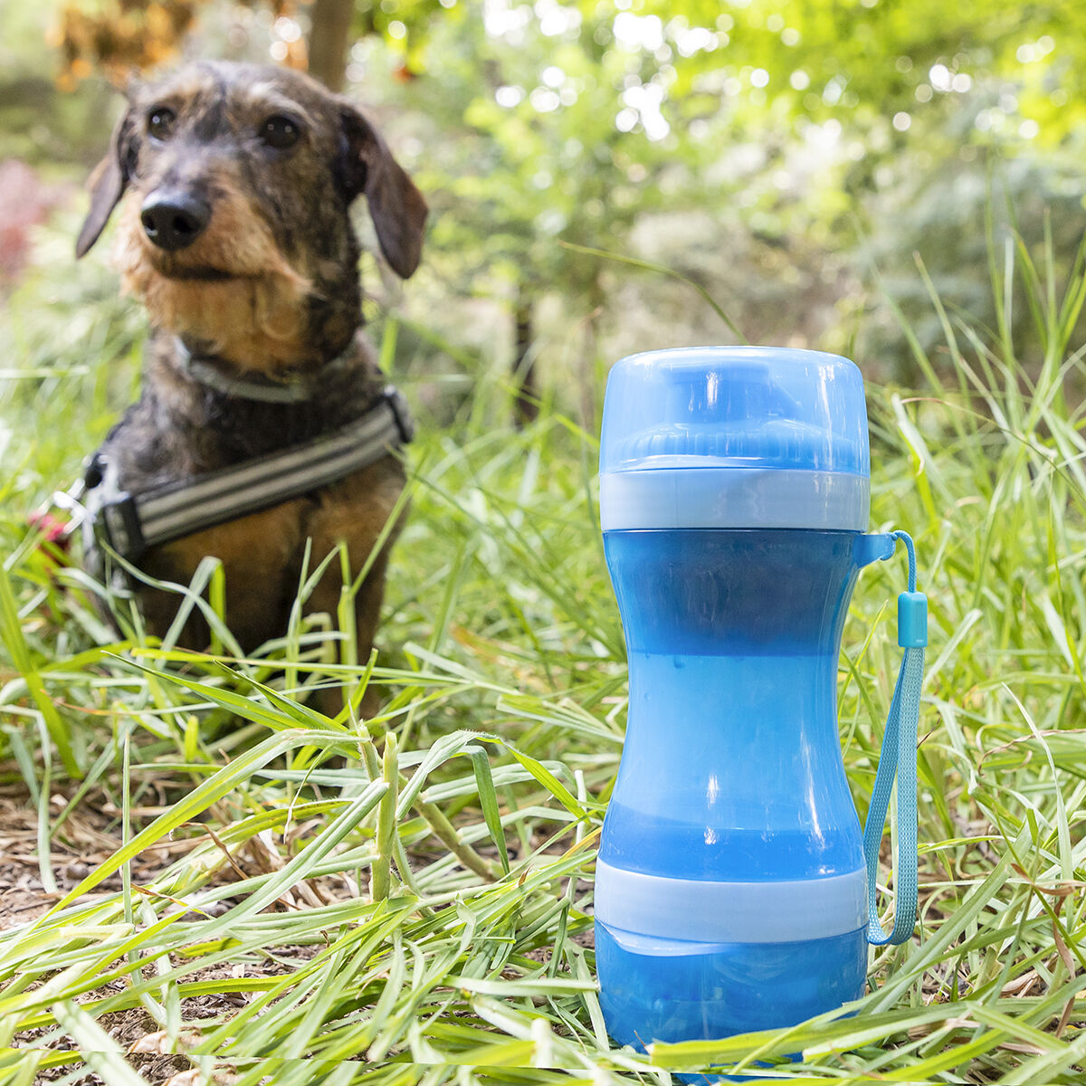 Bouteille 2 en 1 avec récipients pour eau et nourriture pour animaux Pettap
