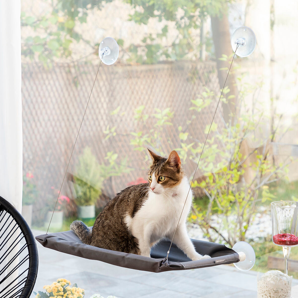 Hamaca colgante para gatos Catlax InnovaGoods