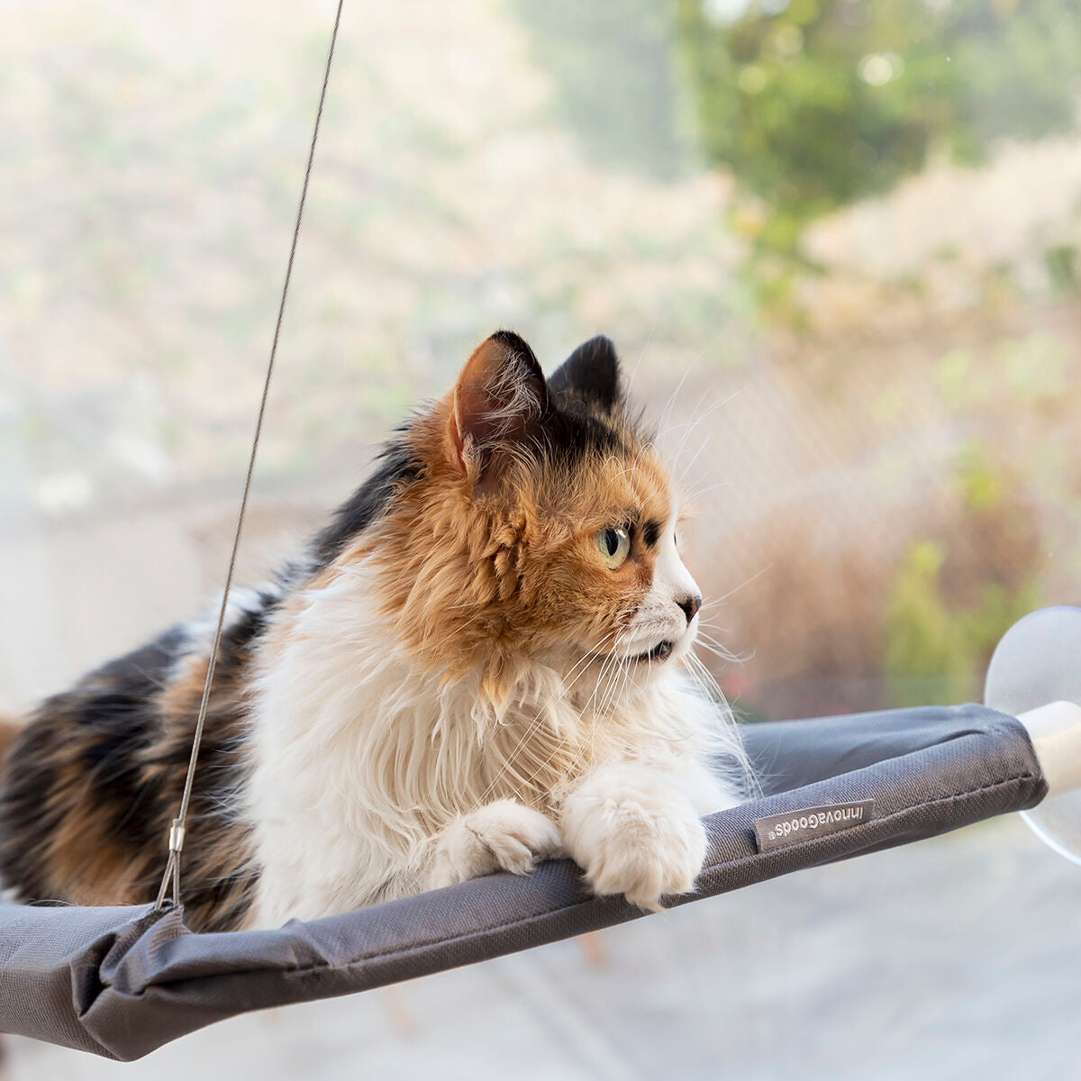 Hamaca colgante para gatos Catlax InnovaGoods
