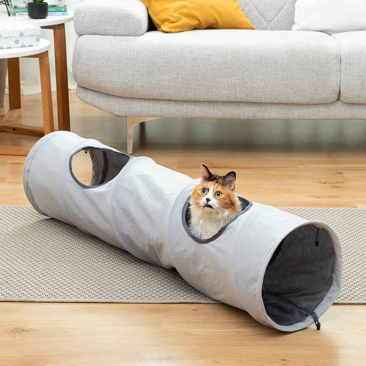 Túnel plegable para mascotas Funnyl InnovaGoods