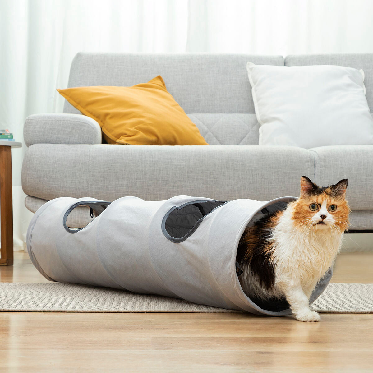 Túnel plegable para mascotas Funnyl InnovaGoods