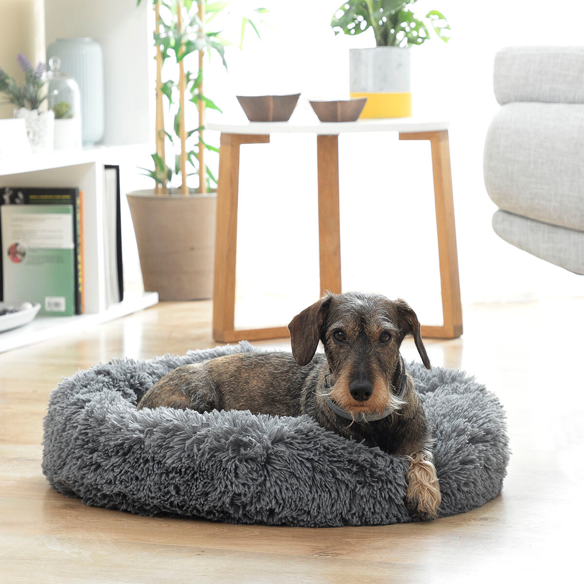 Cama antiestrés para mascotas Bepess InnovaGoods Ø 60 cm