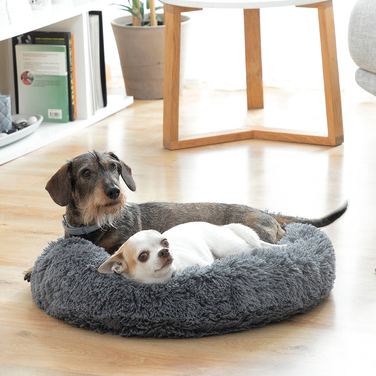 Cama antiestrés para mascotas Bepess InnovaGoods Ø 60 cm