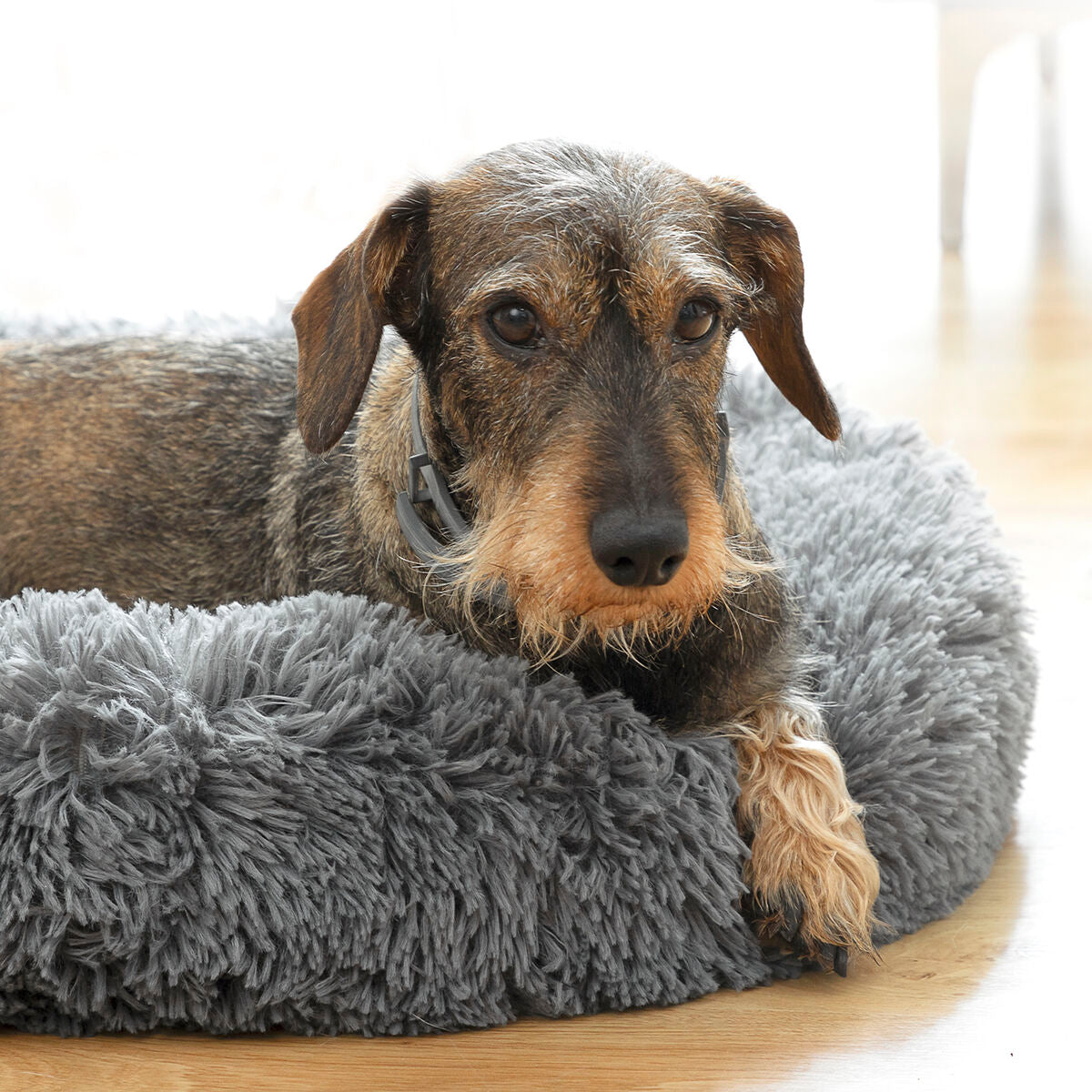 Cama antiestrés para mascotas Bepess InnovaGoods Ø 60 cm