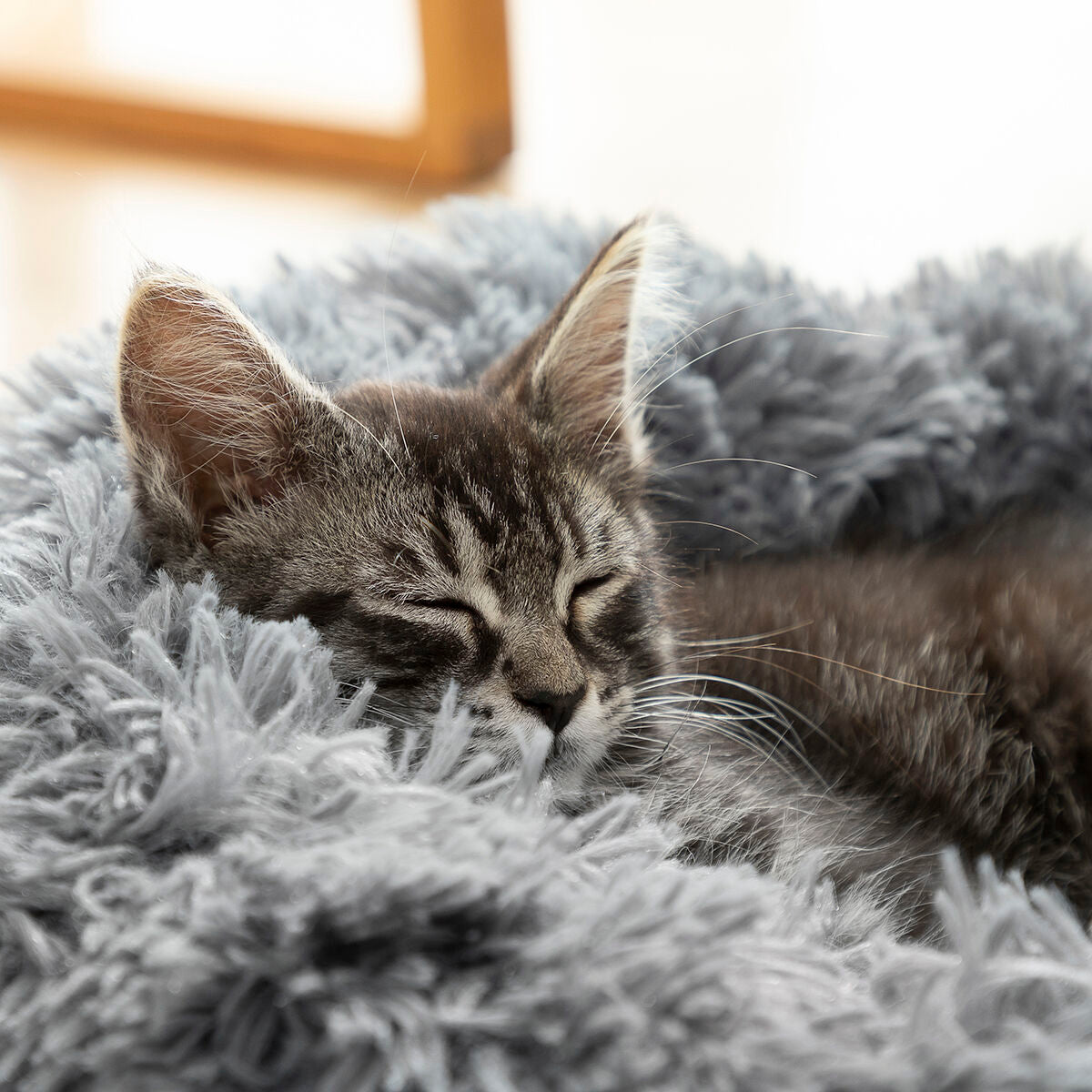 Cama antiestrés para mascotas Bepess InnovaGoods Ø 60 cm