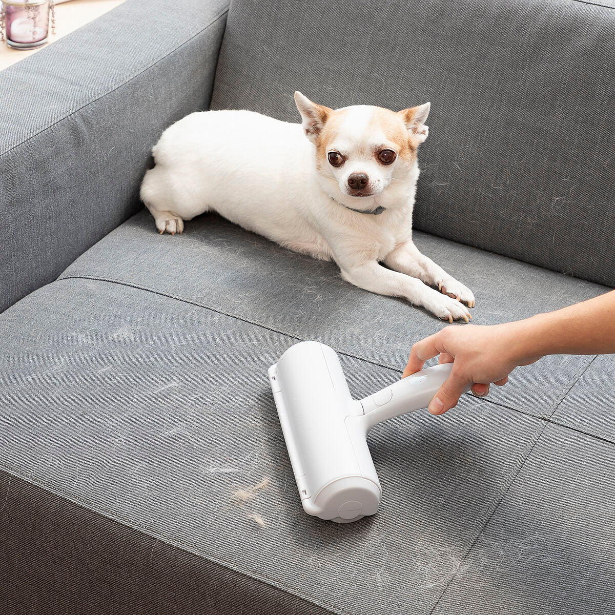 Rodillo quitapelos para mascotas Rellair InnovaGoods