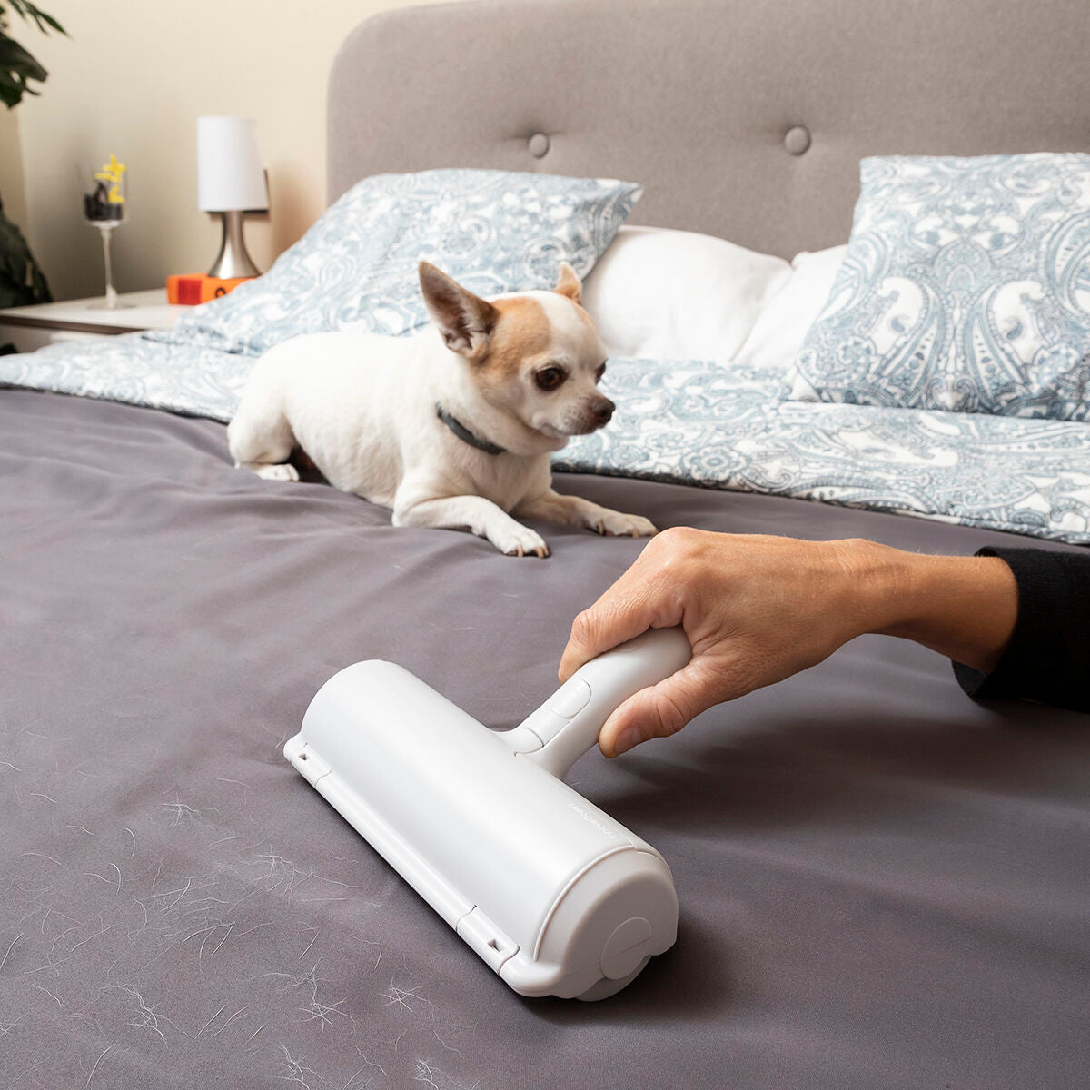 Rodillo quitapelos para mascotas Rellair InnovaGoods