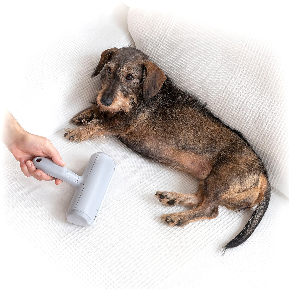 Rodillo quitapelos para mascotas Rellair InnovaGoods