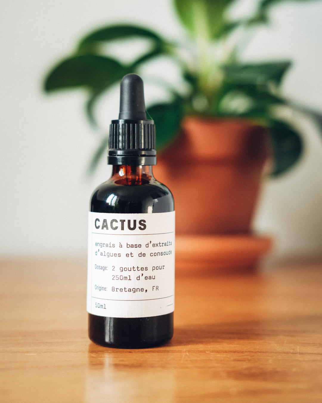 Fertilizante Natural Para Cactus y Suculentas