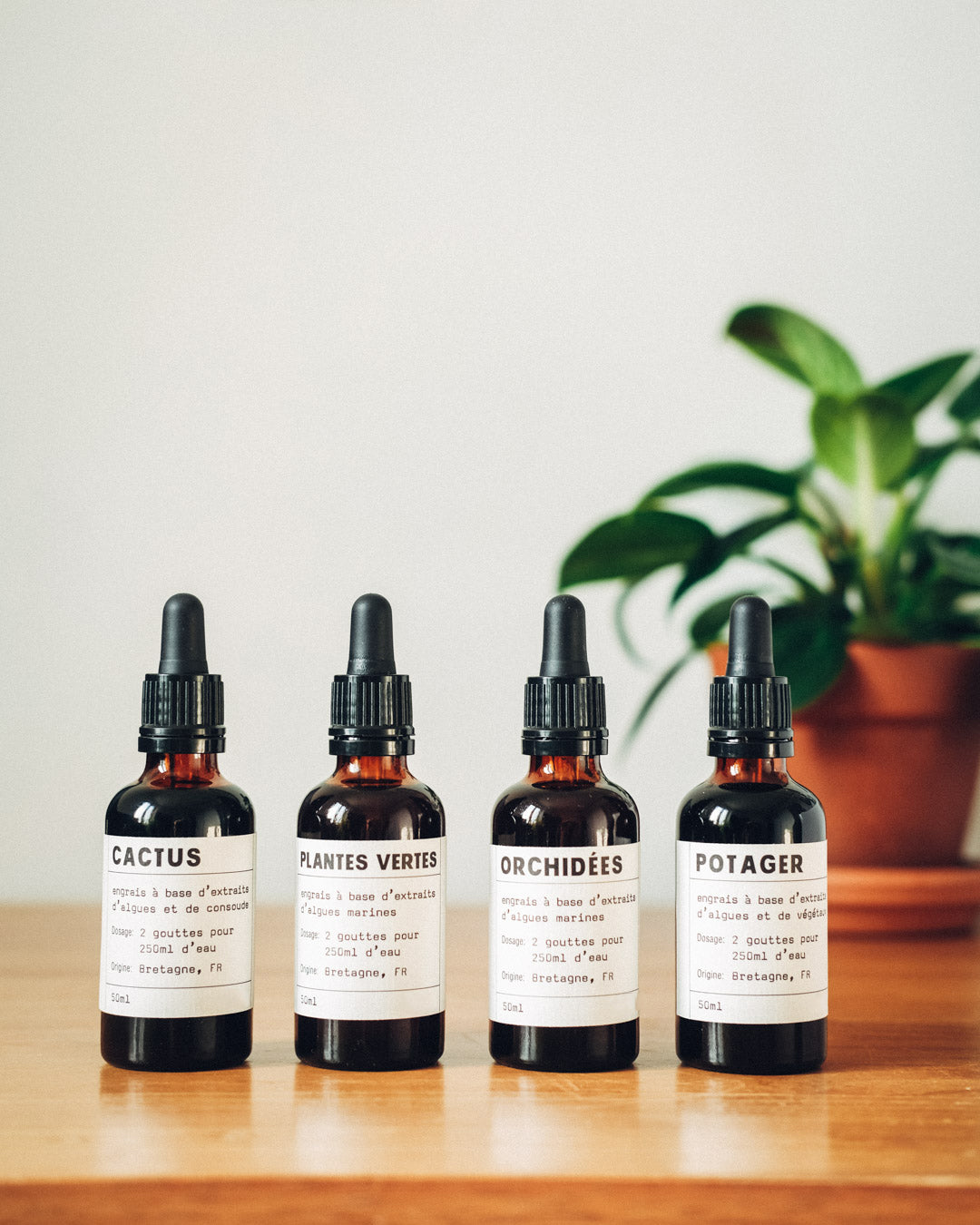 Fertilizante Natural para Orquídeas