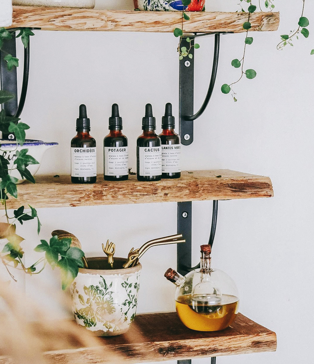 Fertilizante Natural para Orquídeas