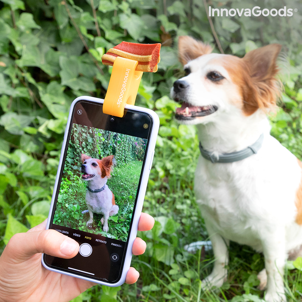 Clip para selfies para mascotas Pefie InnovaGoods