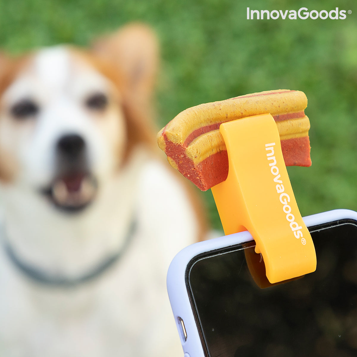 Clip para selfies para mascotas Pefie InnovaGoods