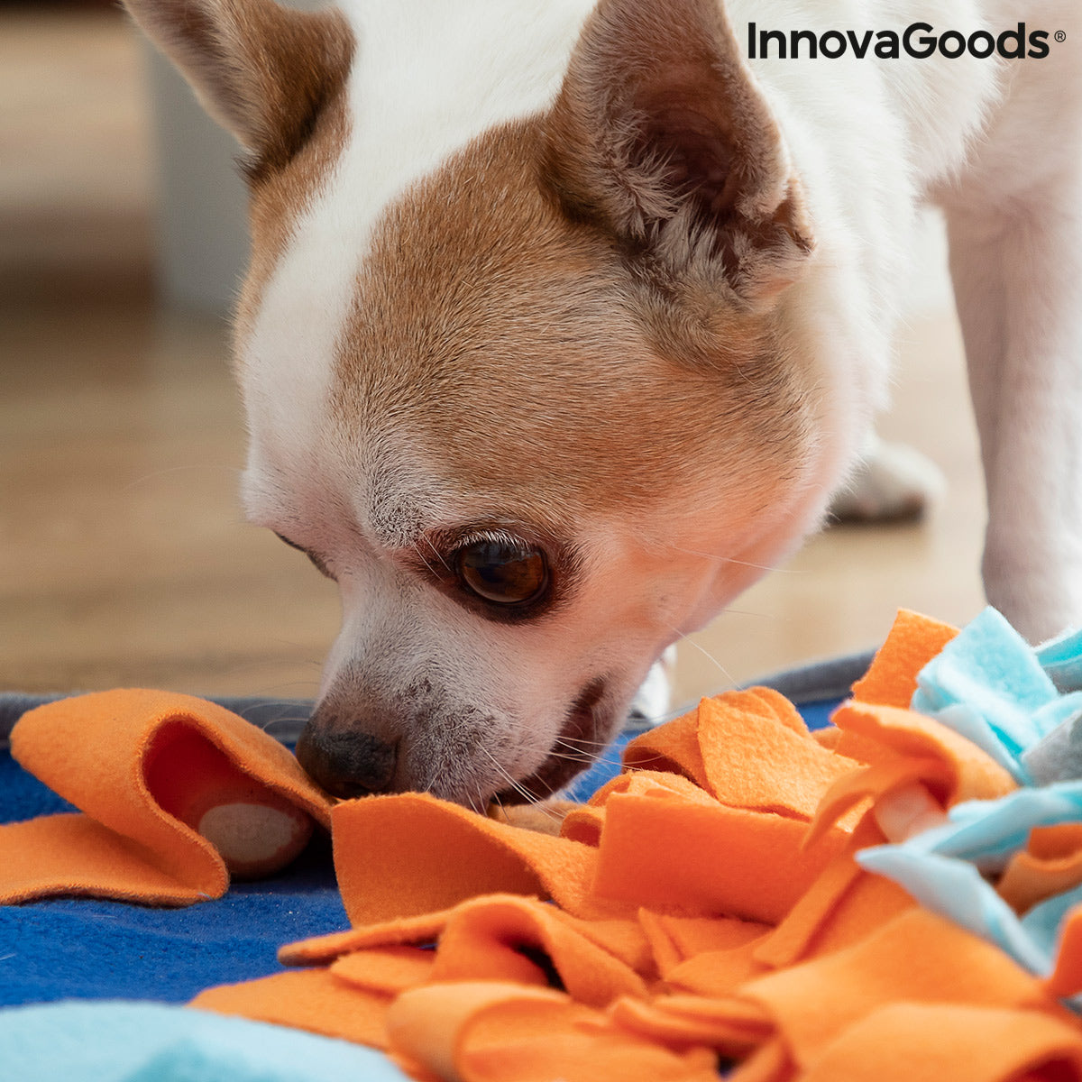 Alfombrilla olfateadora para mascotas Fooland InnovaGoods