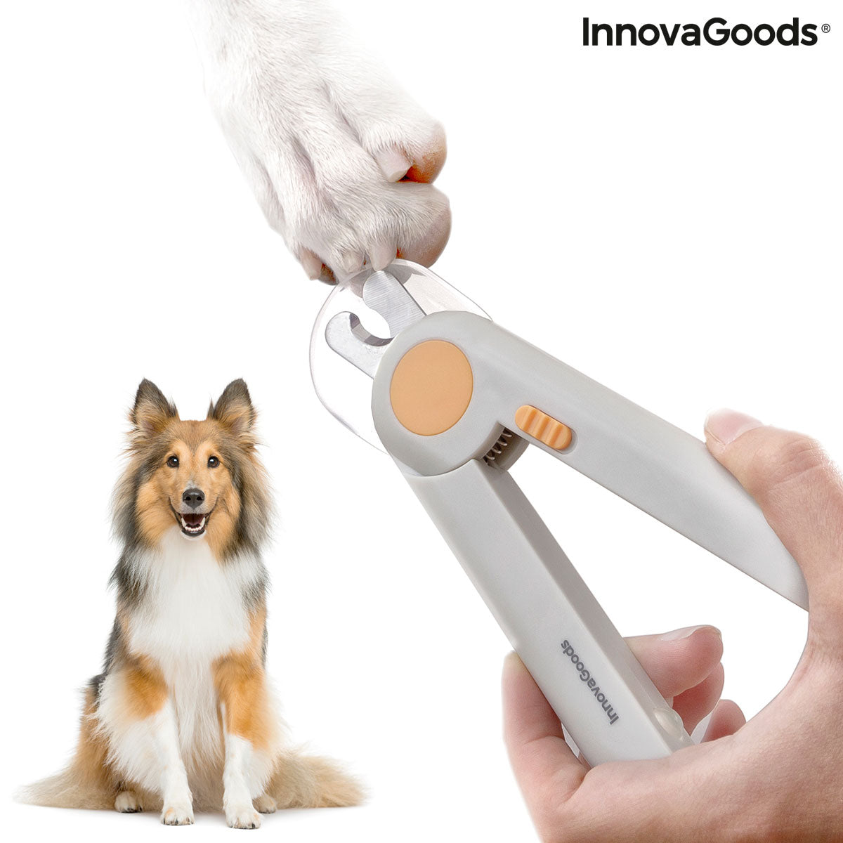 Cortaúñas para mascotas con clip LED InnovaGoods