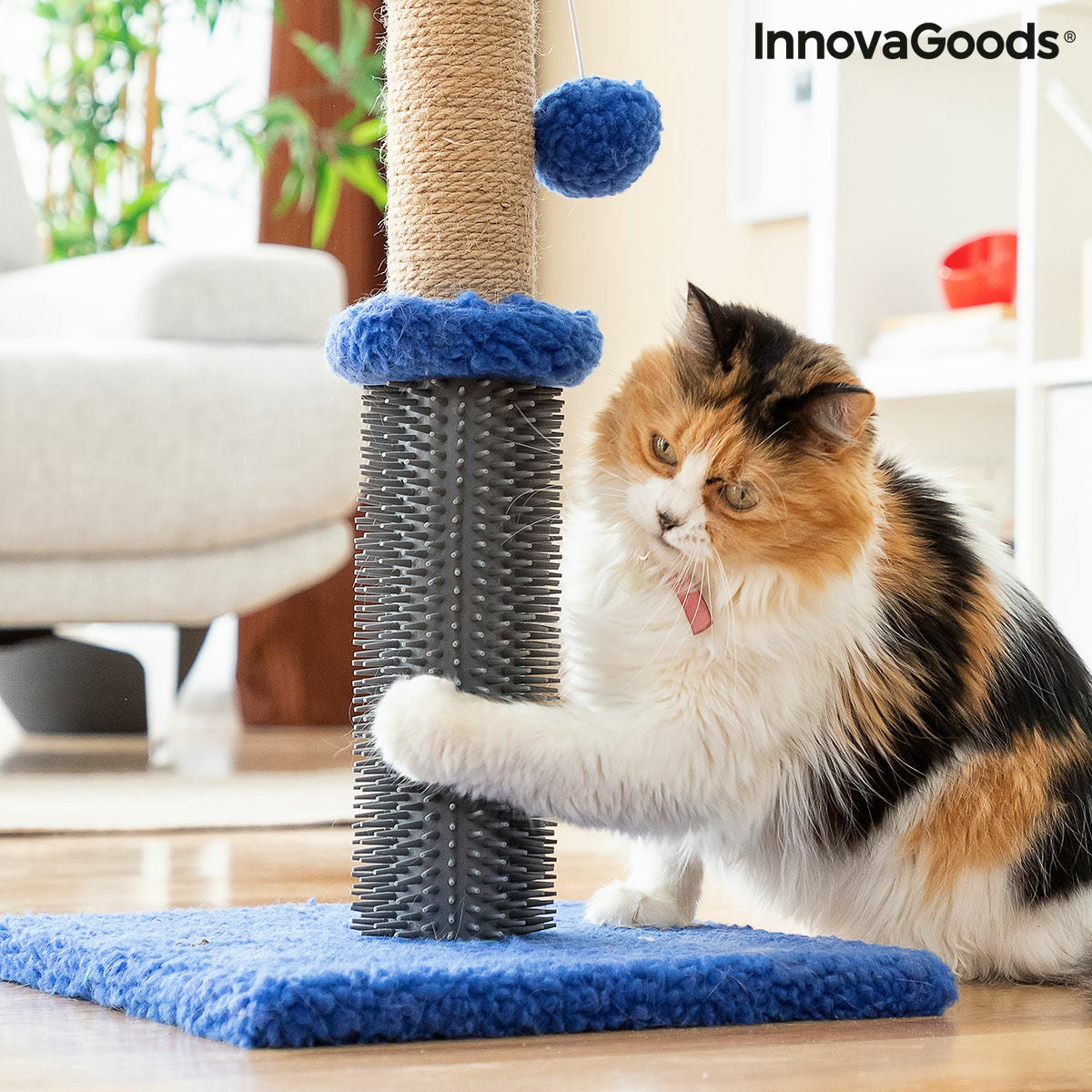 Rascador y masajeador para gatos con pelota Miausage InnovaGoods