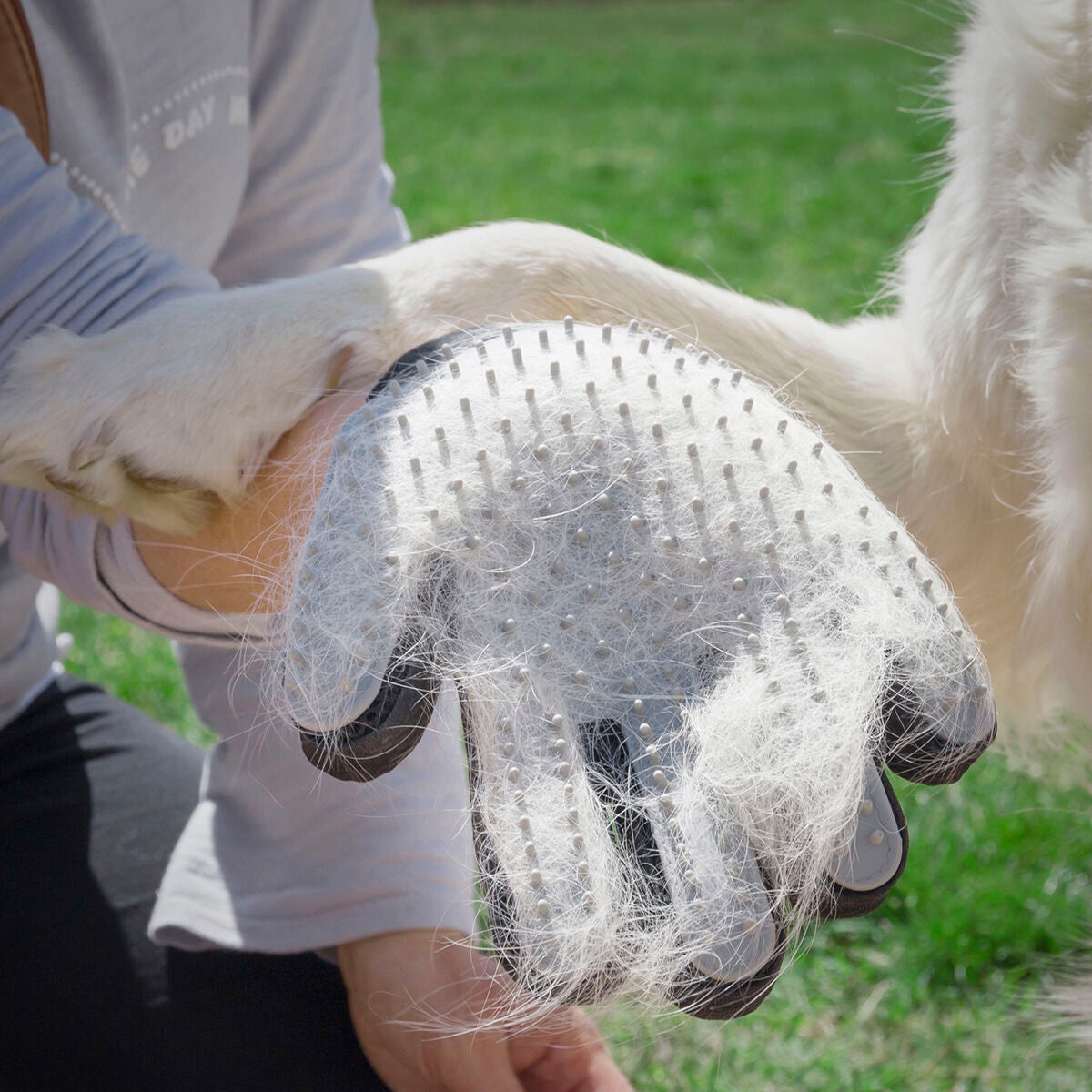 Cepillo y guante de masaje para mascotas Relpet InnovaGoods