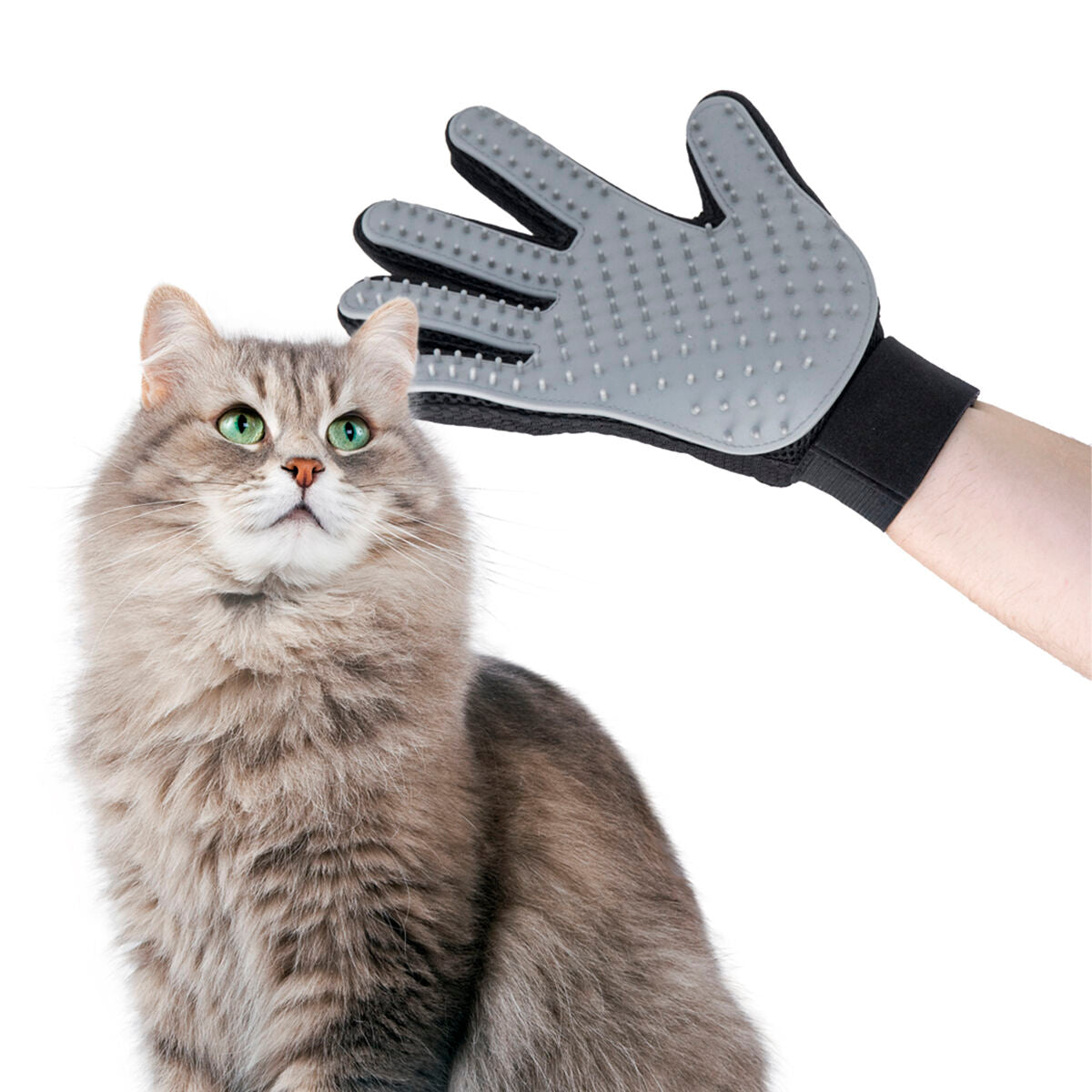 Cepillo y guante de masaje para mascotas Relpet InnovaGoods