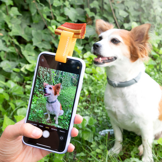 Clip para selfies para mascotas Pefie InnovaGoods