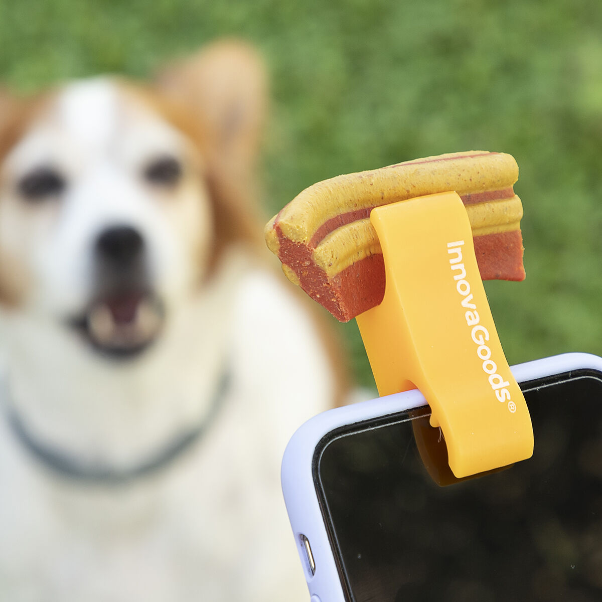 Clip para selfies para mascotas Pefie InnovaGoods