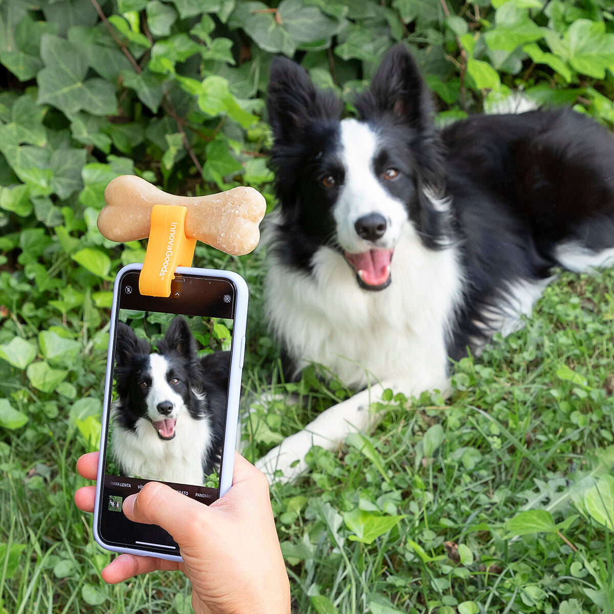 Clip para selfies para mascotas Pefie InnovaGoods