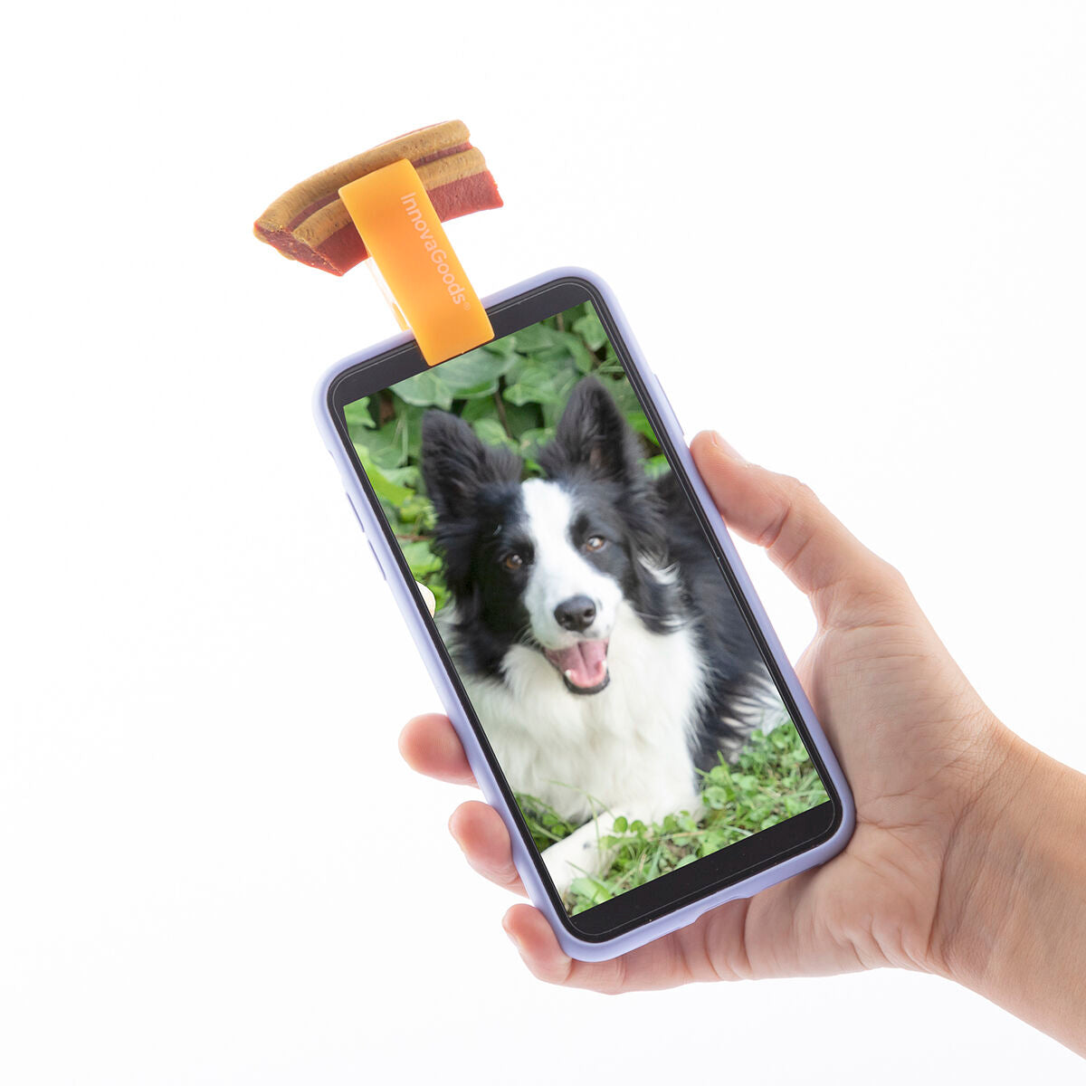 Clip para selfies para mascotas Pefie InnovaGoods
