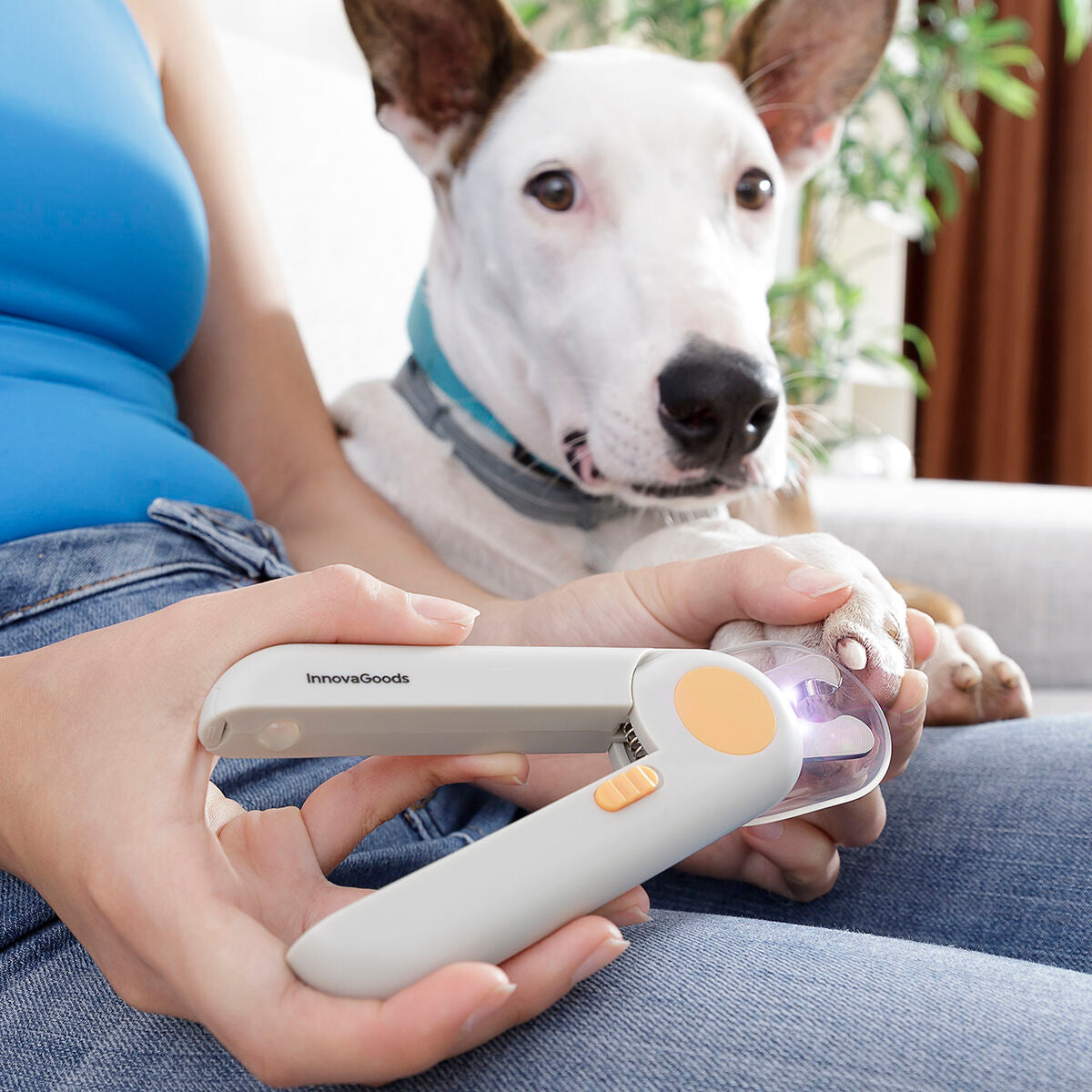 Cortaúñas para mascotas con clip LED InnovaGoods