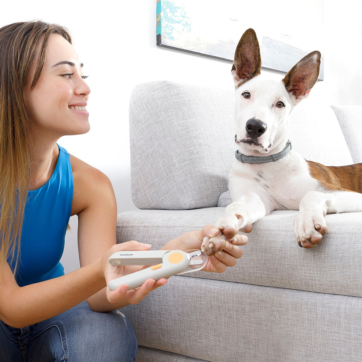 Cortaúñas para mascotas con clip LED InnovaGoods