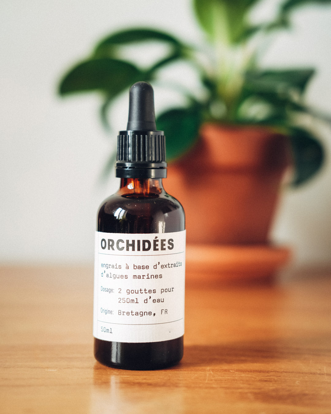 Fertilizante Natural para Orquídeas